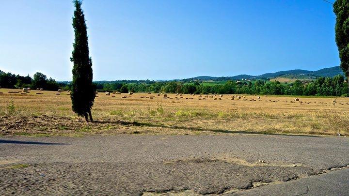 Appartamento Old England In Chianti Montespertoli Luaran gambar