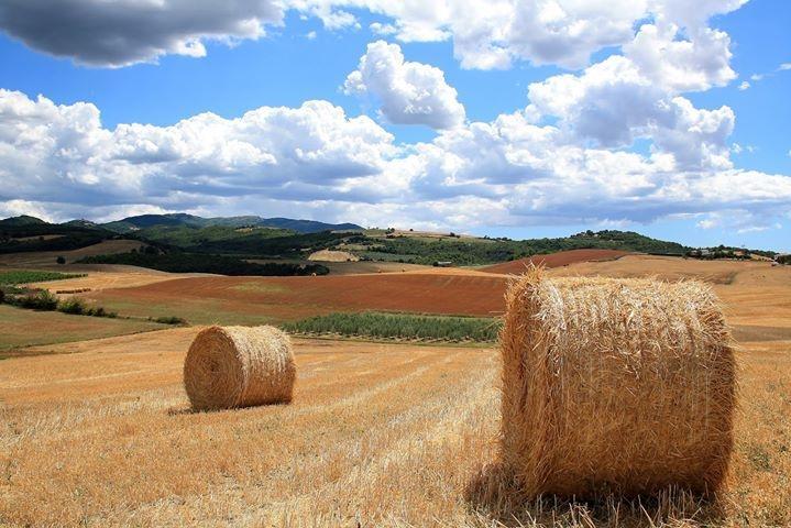 Appartamento Old England In Chianti Montespertoli Luaran gambar